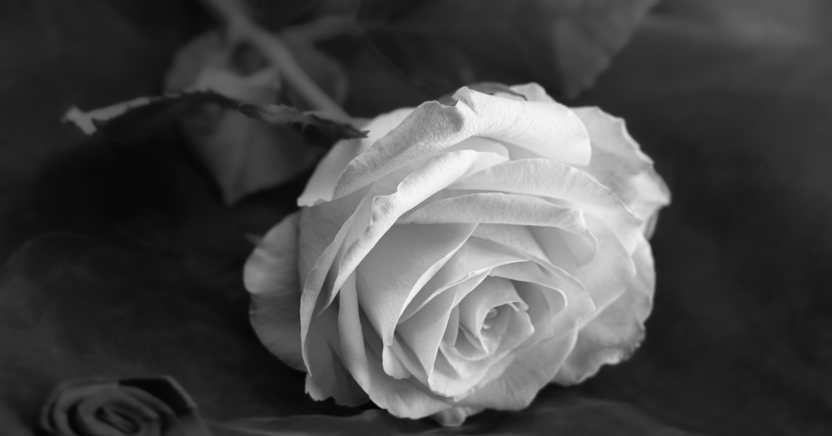 Courier Dies After Fall While Picking Coconuts in Siparia