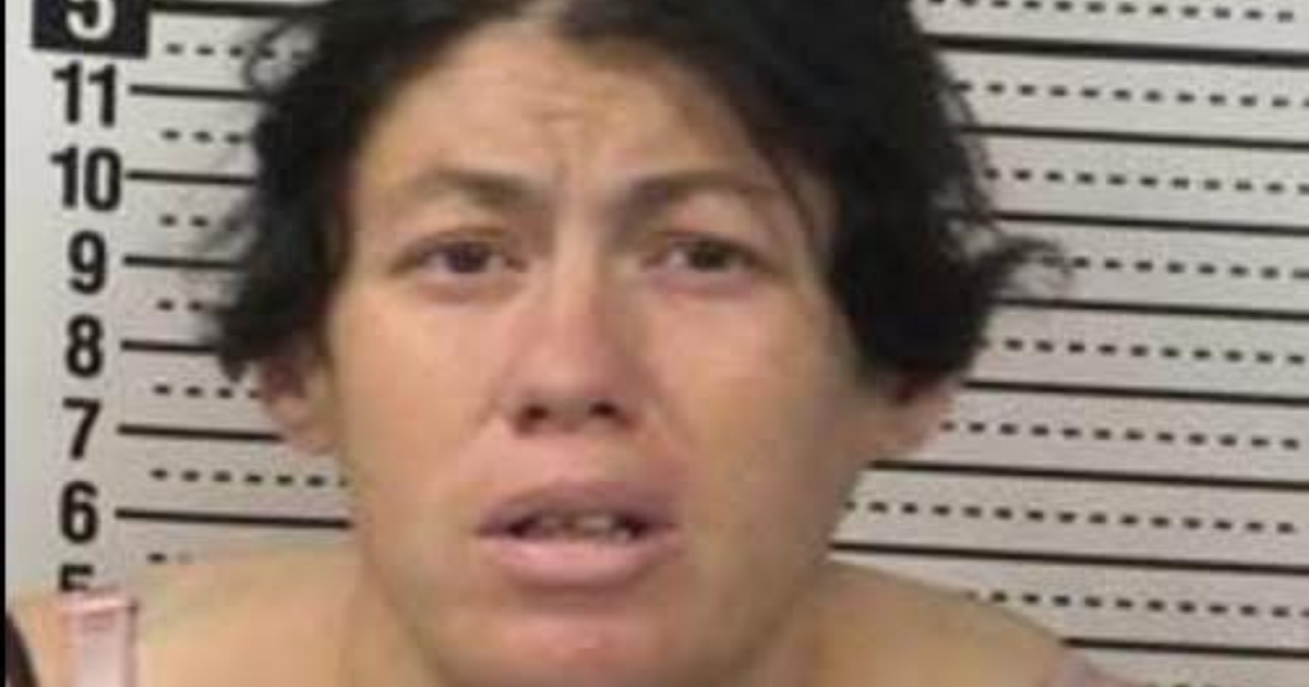 Las Cruces Woman Charged After Newborn Found Dead in Portable Toilet at Burn Lake